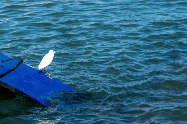 Come la meditazione può influenzare positivamente la tua vita quotidiana?